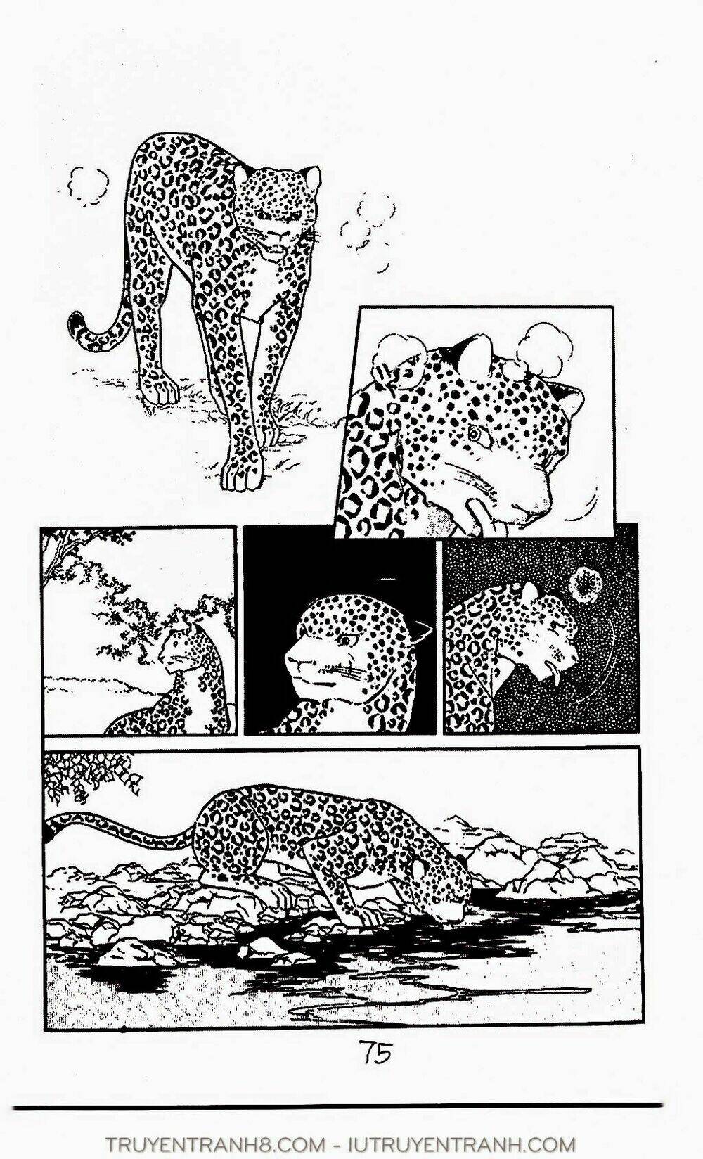 mimi kỳ lạ chapter 31.1 14