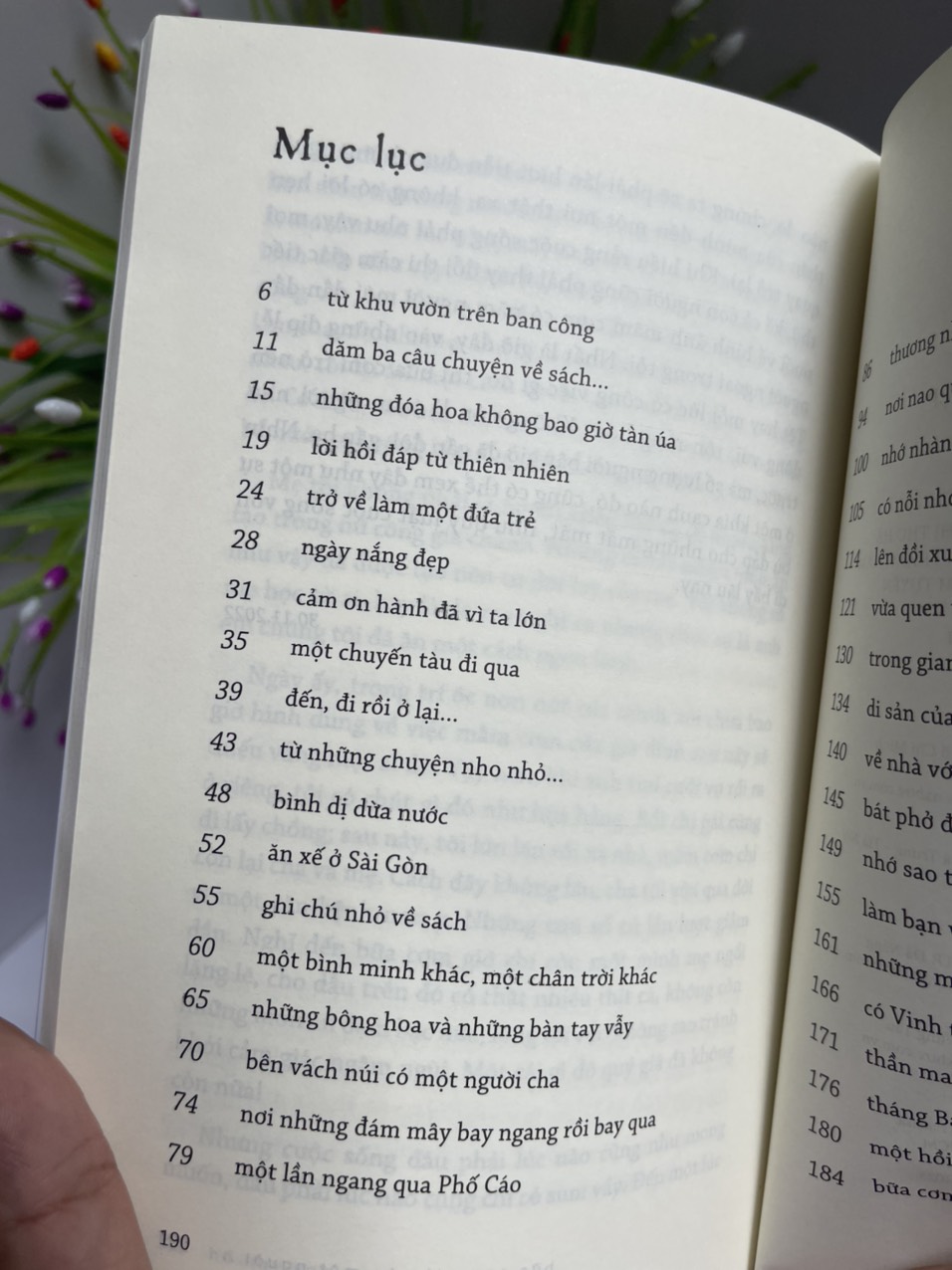 XIN CHÀO NGÀY NẮNG ĐẸP - Hồ Huy Sơn - NXB Trẻ