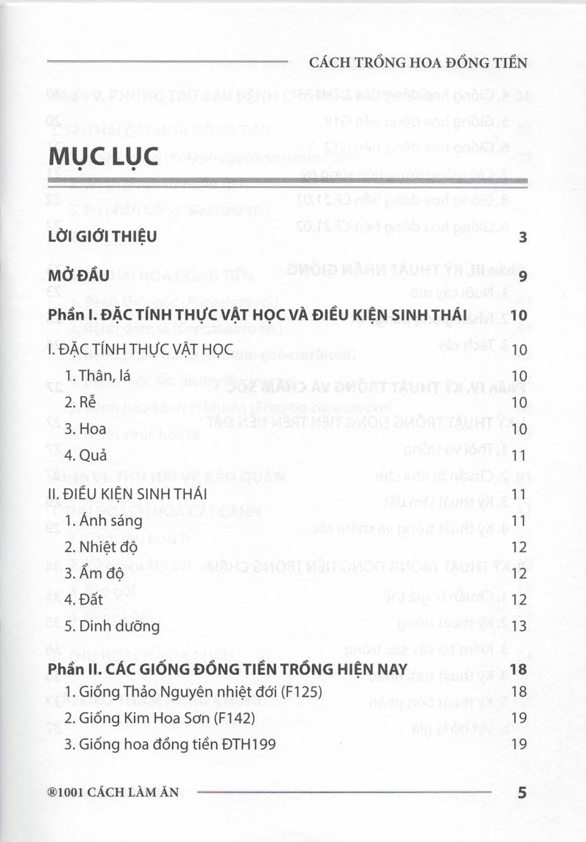 Cách Trồng HOA ĐỒNG TIỀN