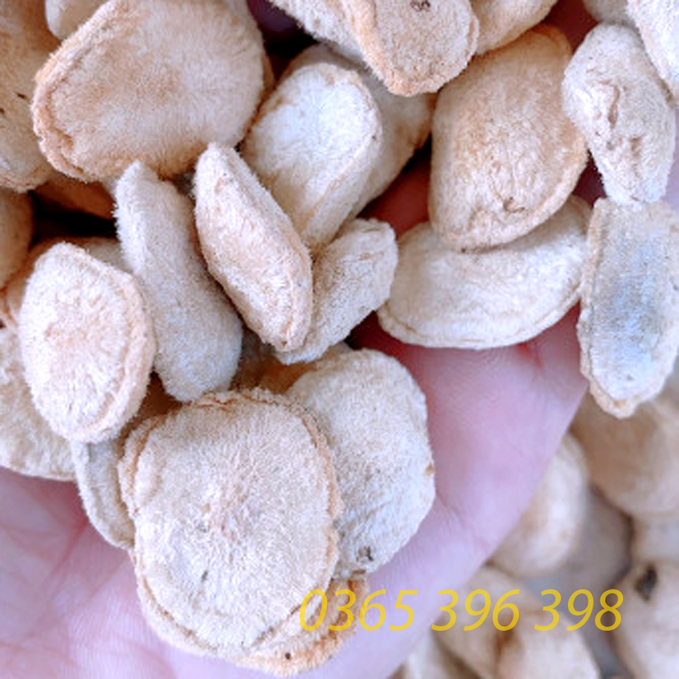 Hạt sành Hạt sang trắng, hạt dạ dày giải quyết vấn đề dạ dày của người dân tộc H mong 1 gói