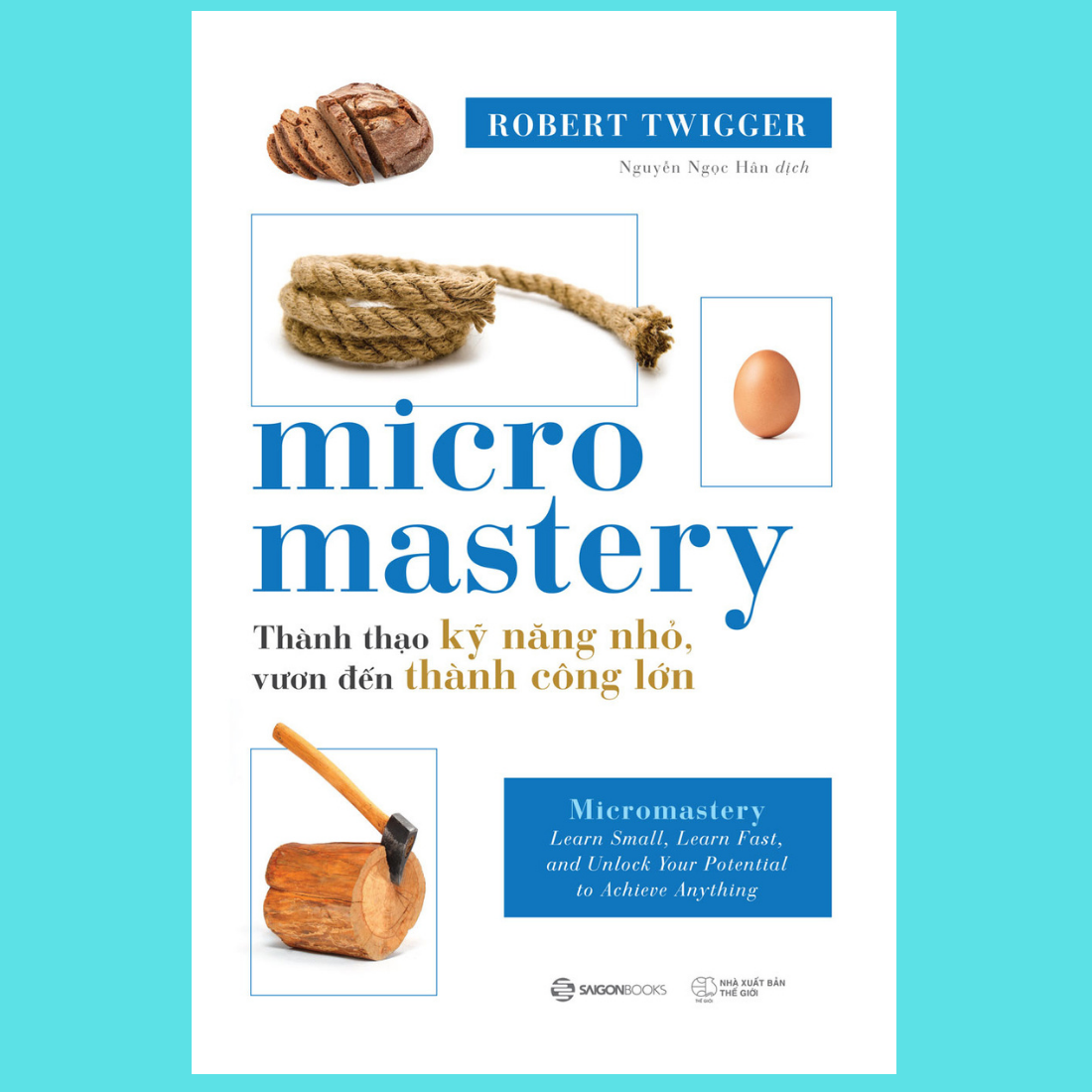 SÁCH - Micromastery - Thành thạo kỹ năng nhỏ, vươn đến thành công lớn - Tác Giả Robert Twigger