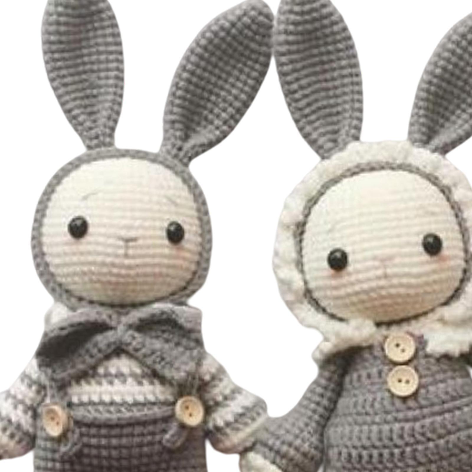 Crochet Set for Beginner Cute Rabbits Yarn Hook Accessories 2x