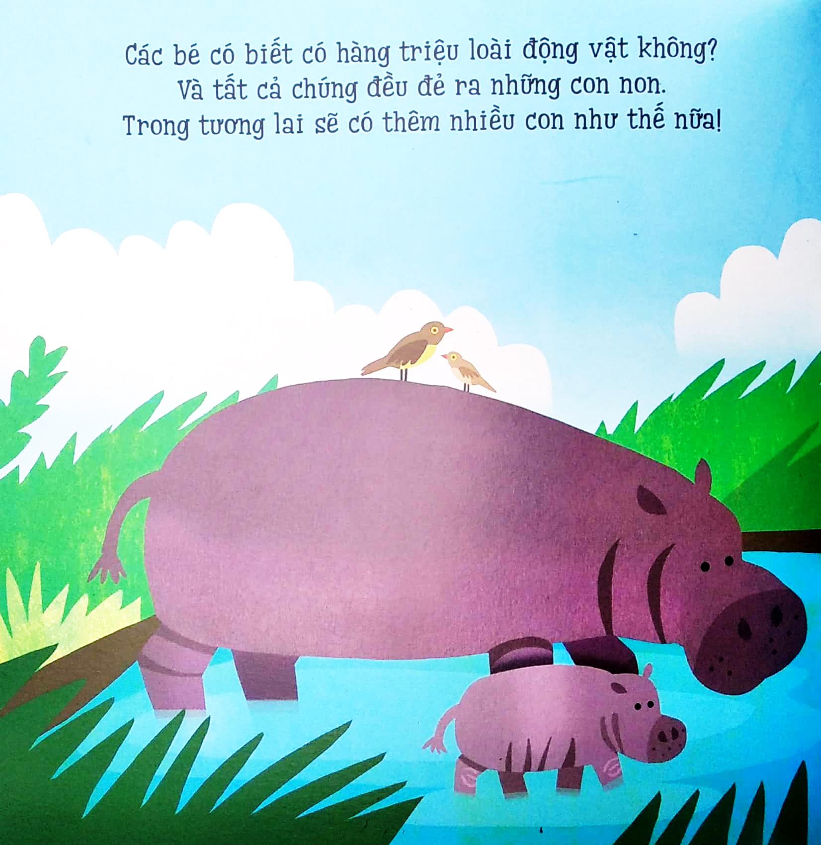 Bé Yêu Khám Phá - Thú Non Đáng Yêu