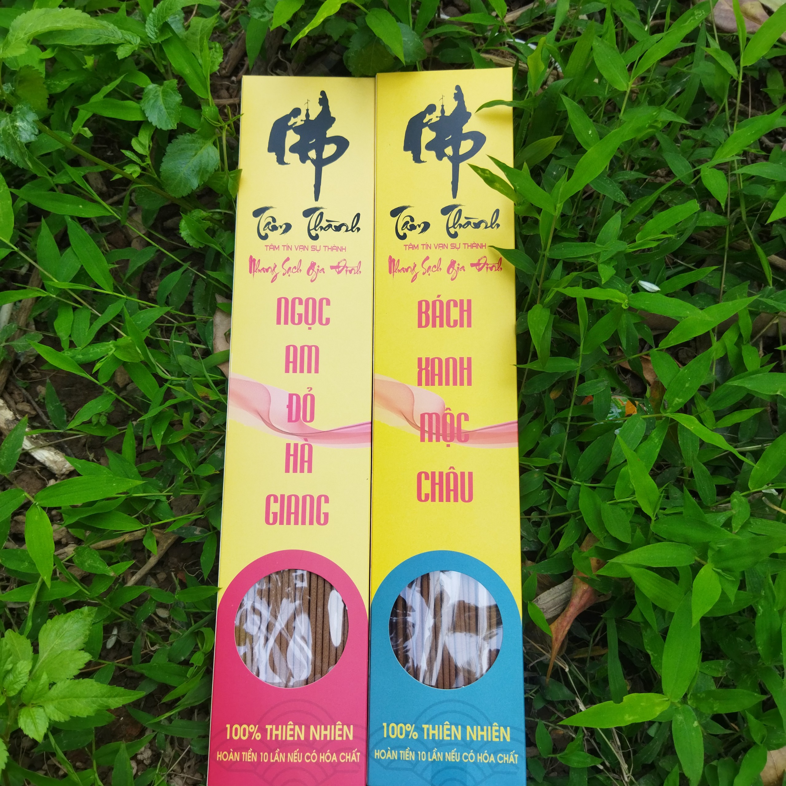 Hương Hoàng_Đàn Tuyết Lạng Sơn_Nhang Hoàng_Đàn_Nhang Bách_Xanh_Nhang Ngọc_Am_Cam Kết 100% Không Hóa Chất.