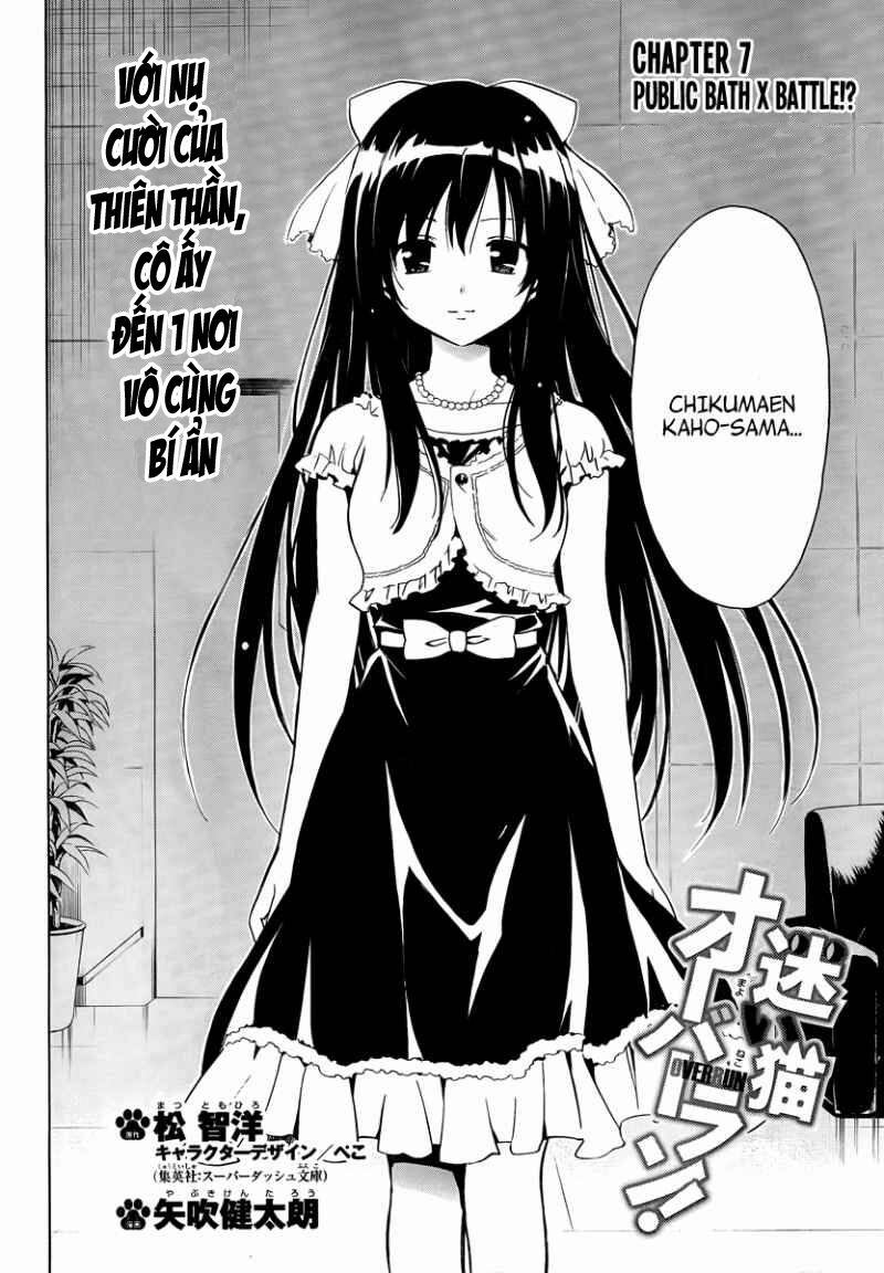 mayoi neko overrun! chapter 7 3