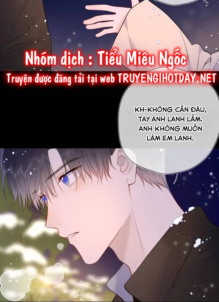 vì sao của tôi chapter 148 16