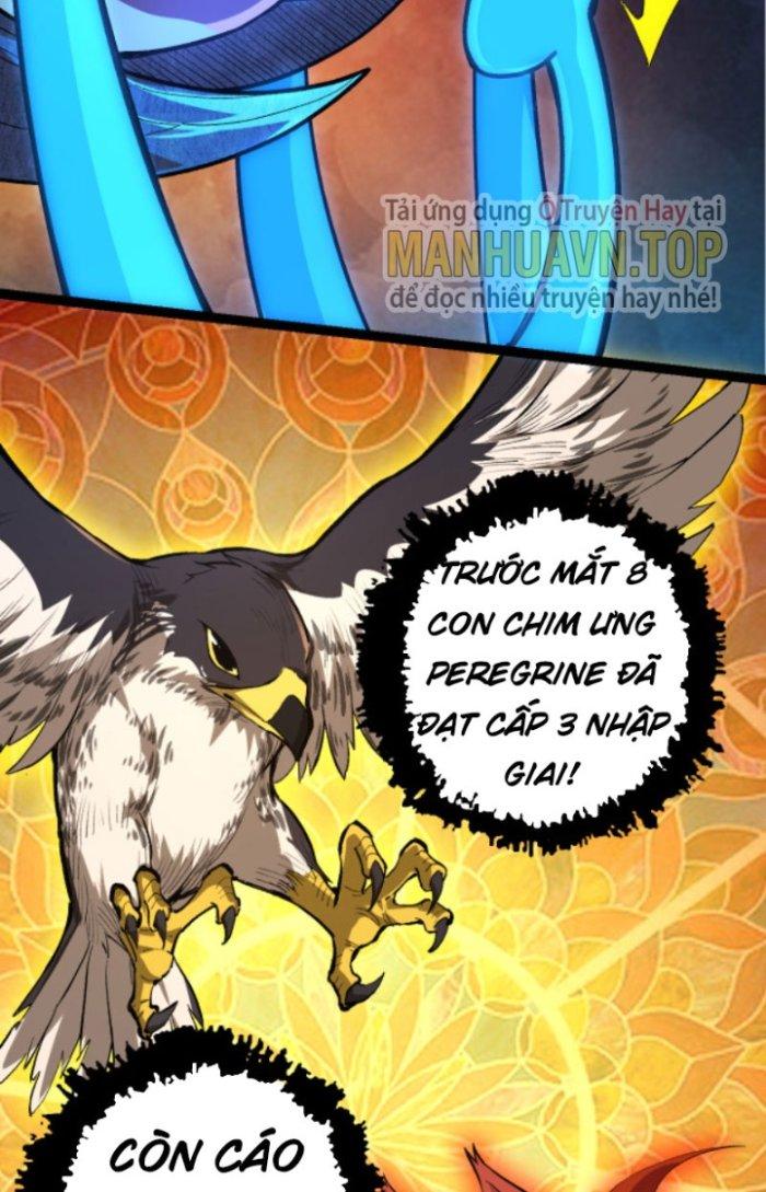 từ cây cổ thụ bắt đầu tiến hóa chapter 5 4