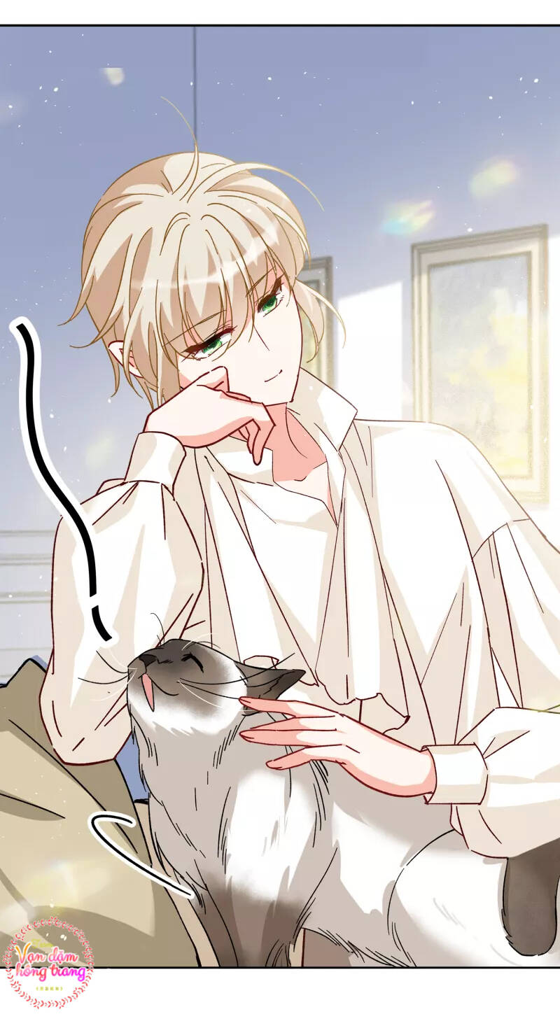 cô ấy đến rồi, xin nằm xuống! chapter 235 5