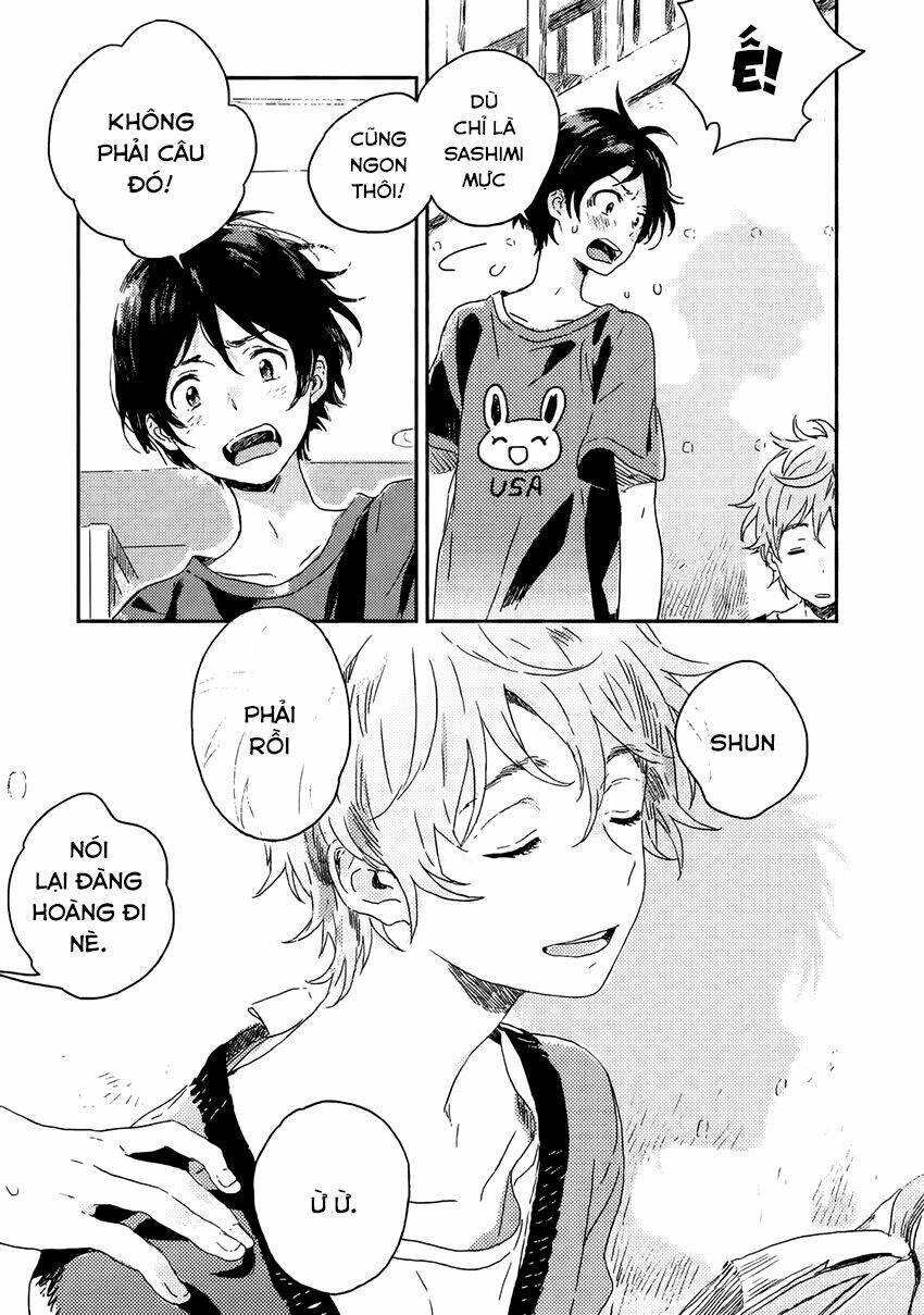 người lạ dưới gió xuân chapter 1 49