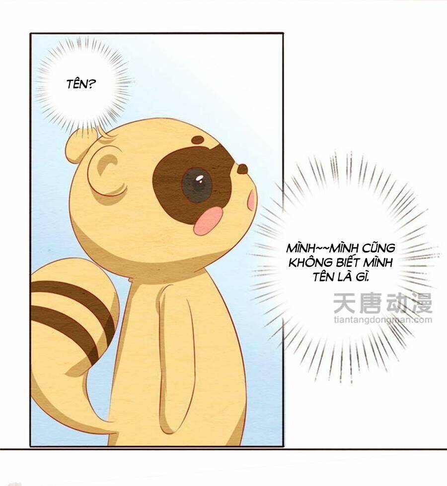 nhân hoa duyên chi sư phụ đại nhân cầu sủng ái chapter 11 23