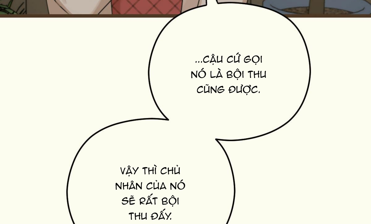 tương phùng chapter 15 268