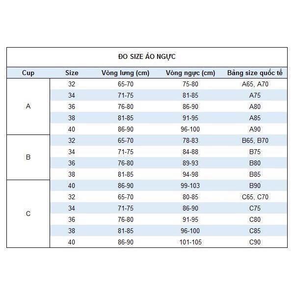Áo lót đúc nâng ngực in hoa chìm 8808