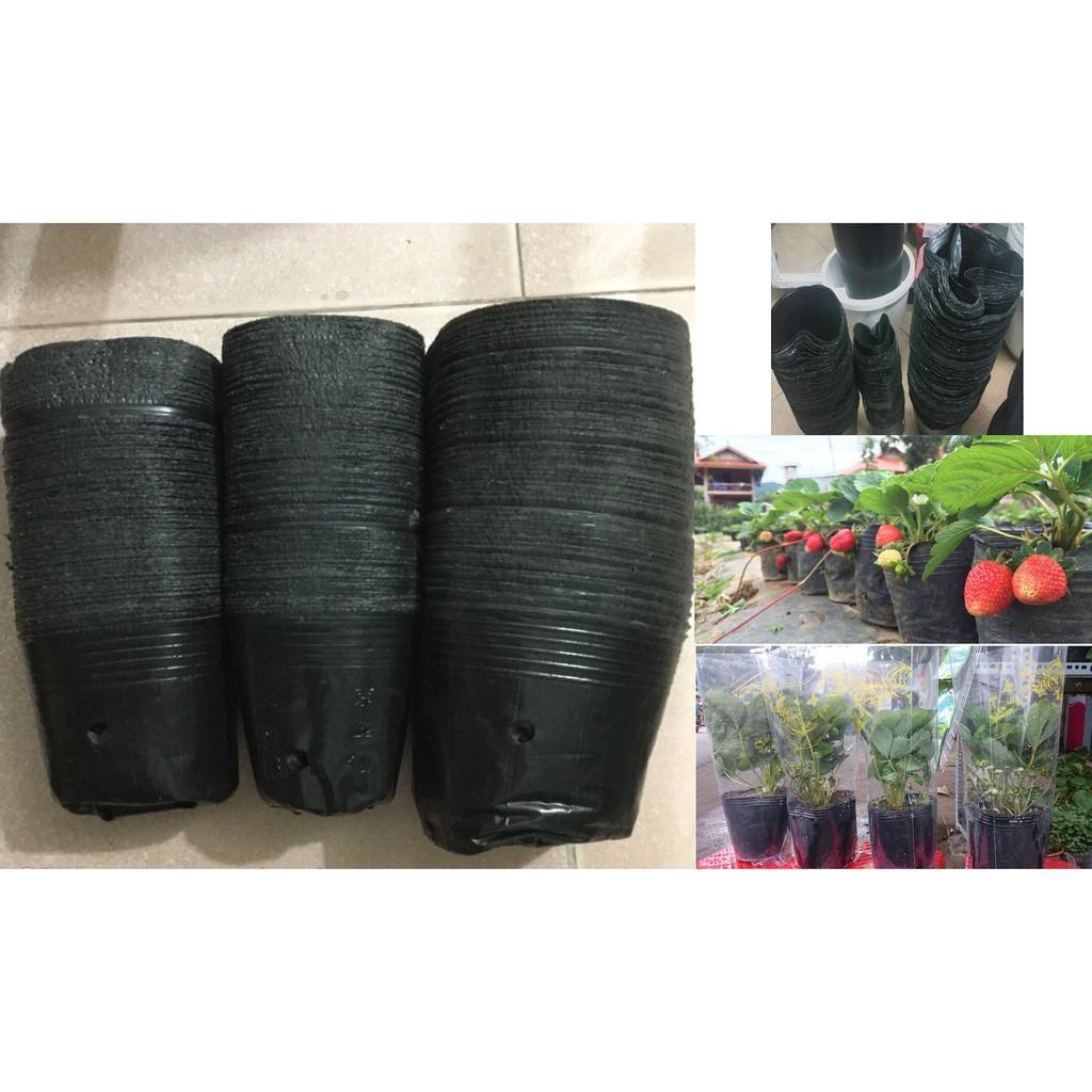 1kg TÚI BẦU ƯƠM CÂY GIỐNG
