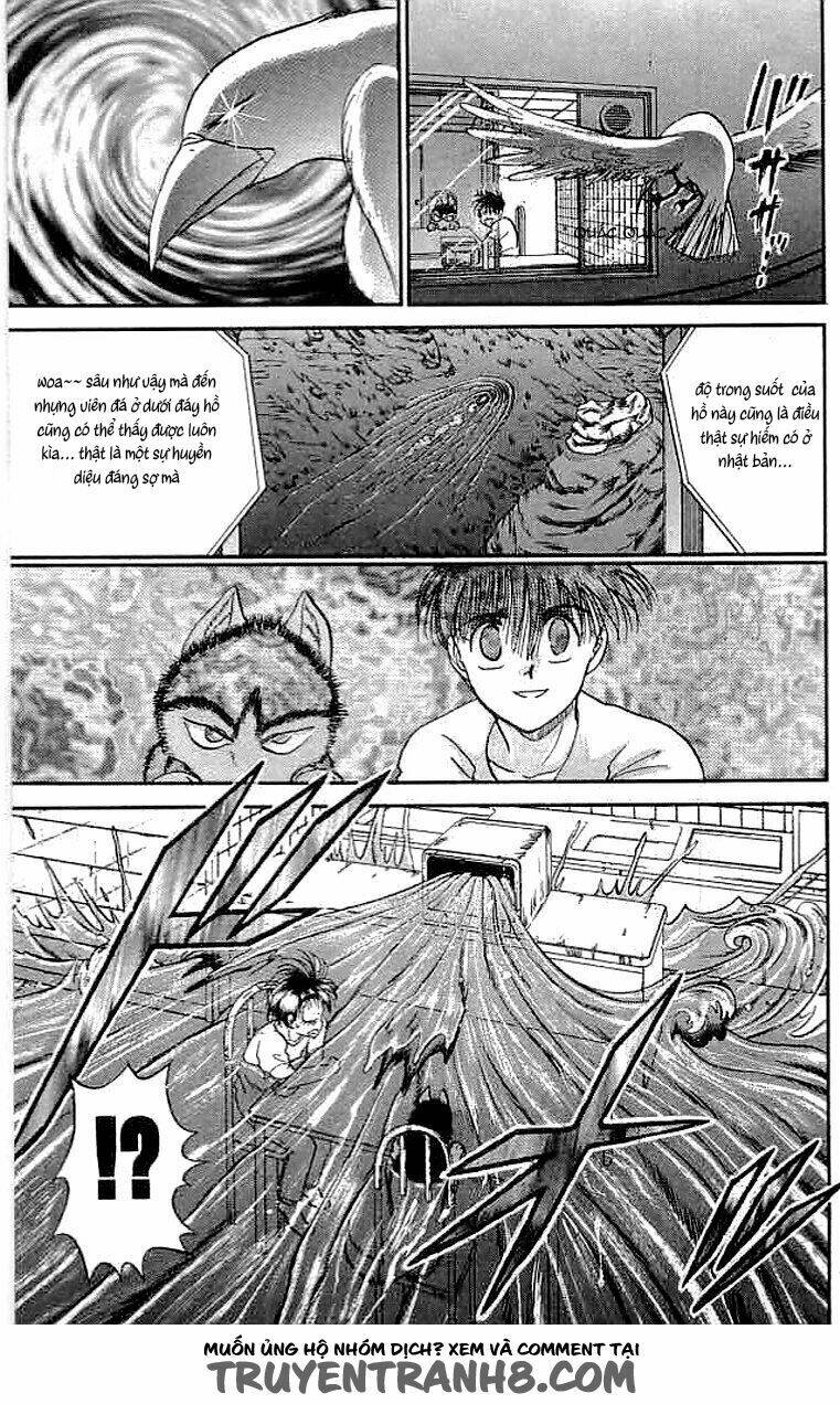 wild half chapter 20 7