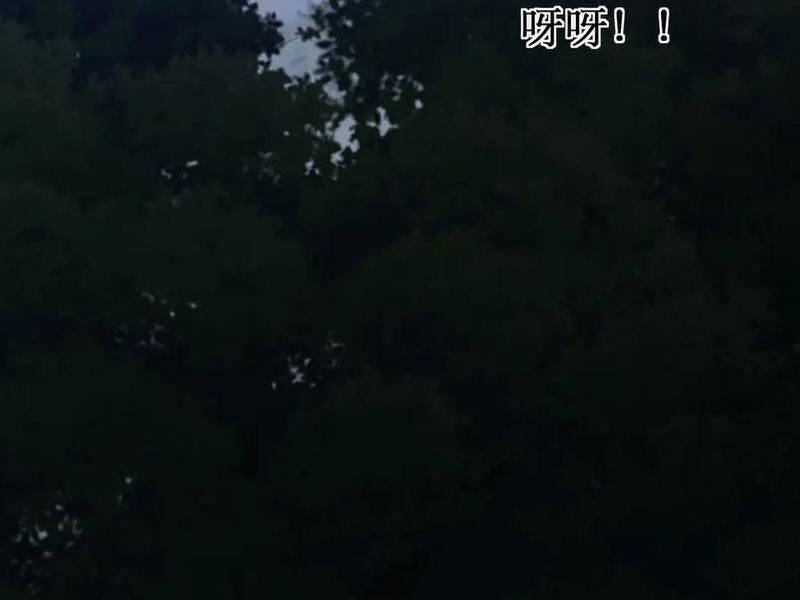 võng du: ta có thể tiến hoá tất cả! chapter 13 71