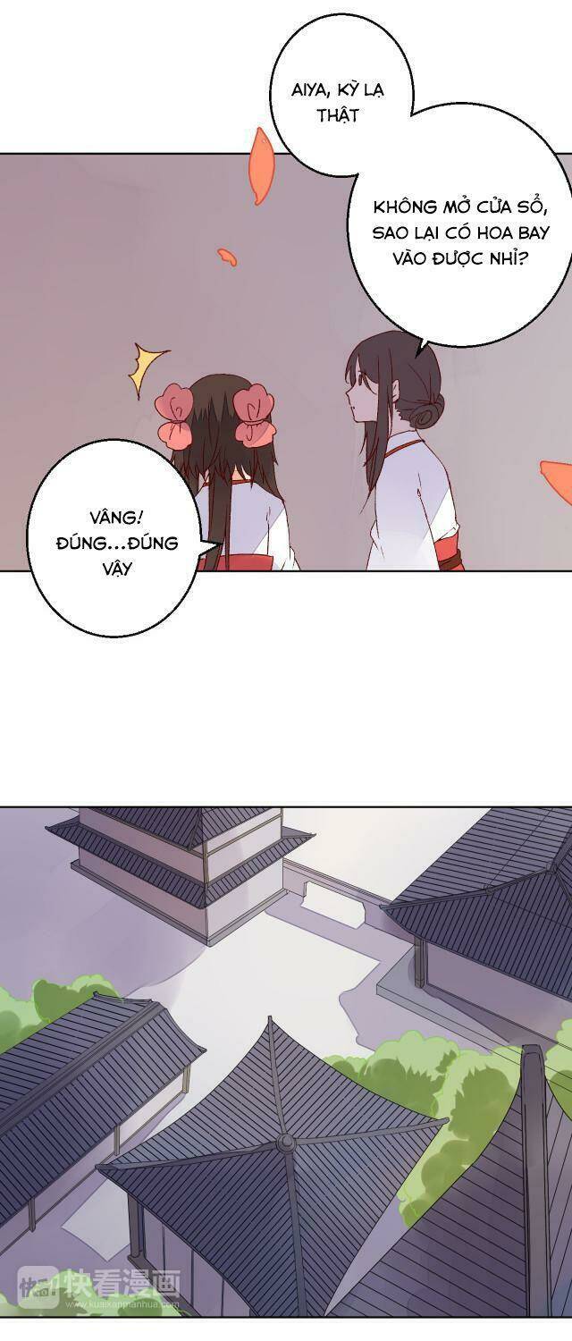 đốt đào hoa chapter 62 5