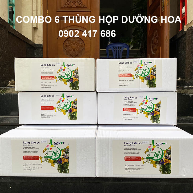 Thuốc Dưỡng Hoa Tươi Cắt Cành Nhập Khẩu Israel hiệu Longlife phù hợp dùng làm nước cắm hoa cho mọi loại hoa tại nhà và 14 ngày không cần thay nước mới