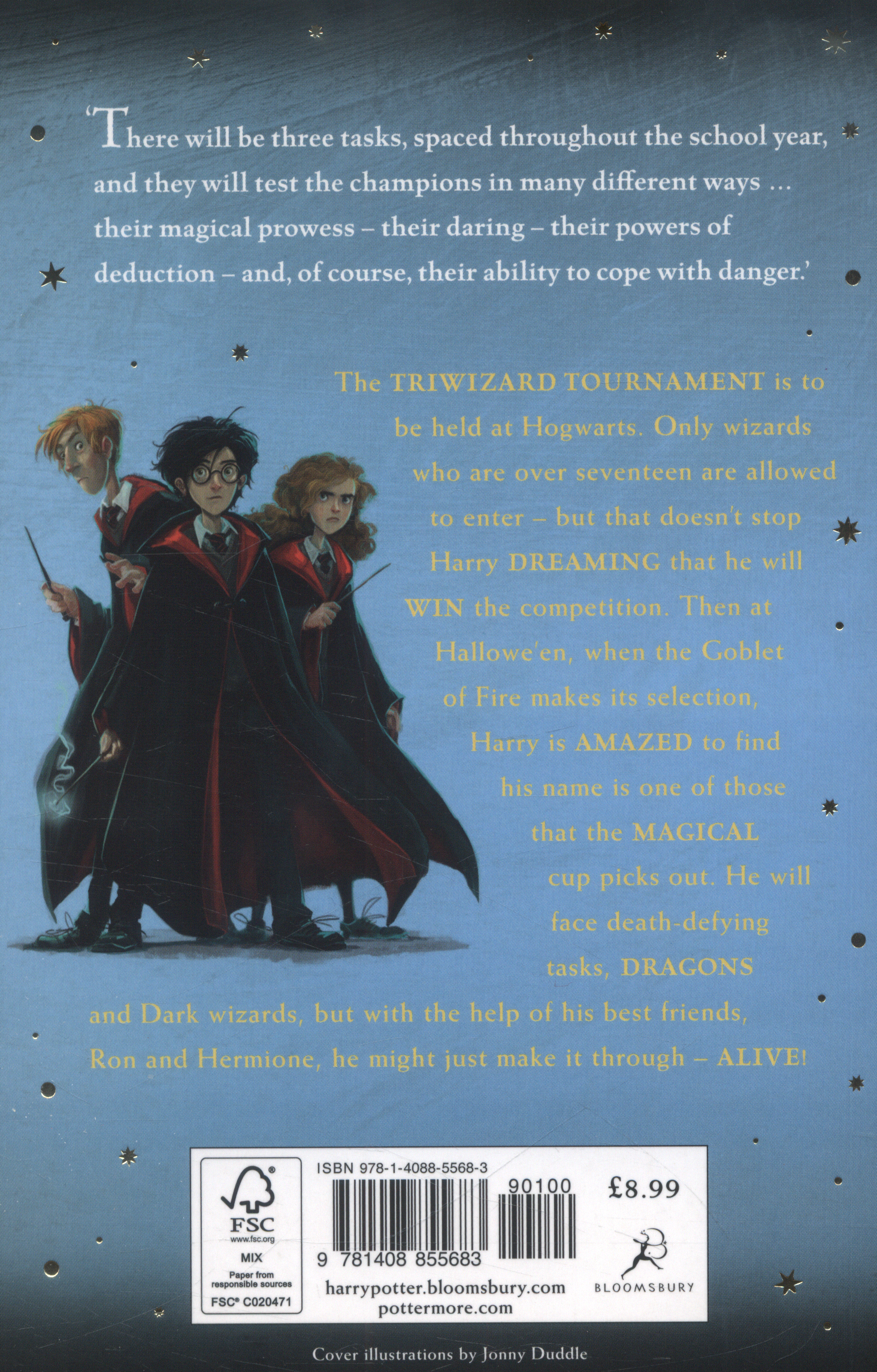 Tiểu thuyết thiếu niên tiếng Anh: Harry Potter and the Goblet of Fire, Children's Paperback