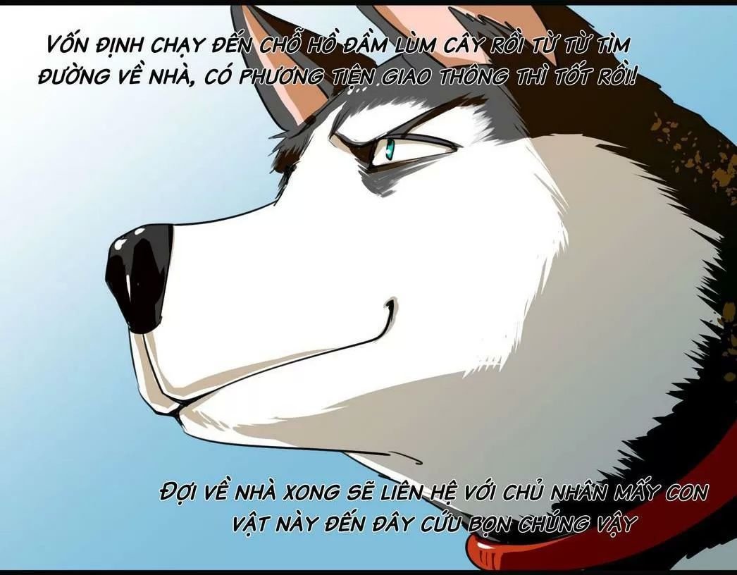 một con chó chapter 61 4