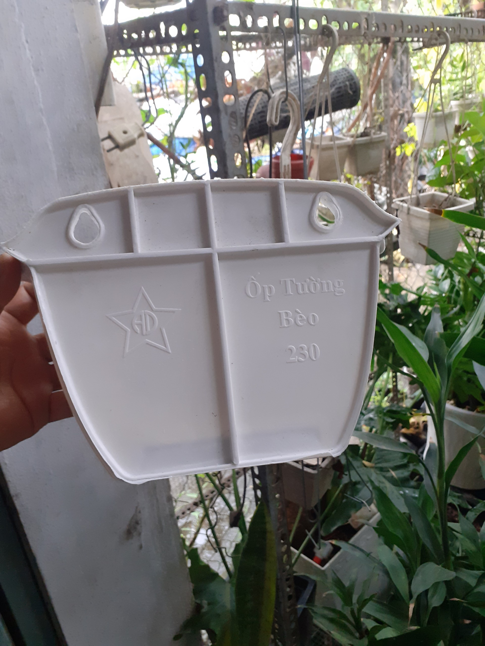 Chậu nhựa ốp tường trồng cây KIỂU BÈO nhúng xinh xinh