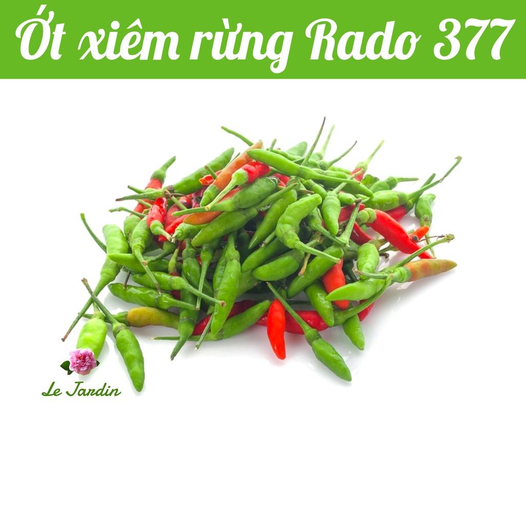 Hạt giống ớt xiêm rừng Rado 377 gói 0,2gr
