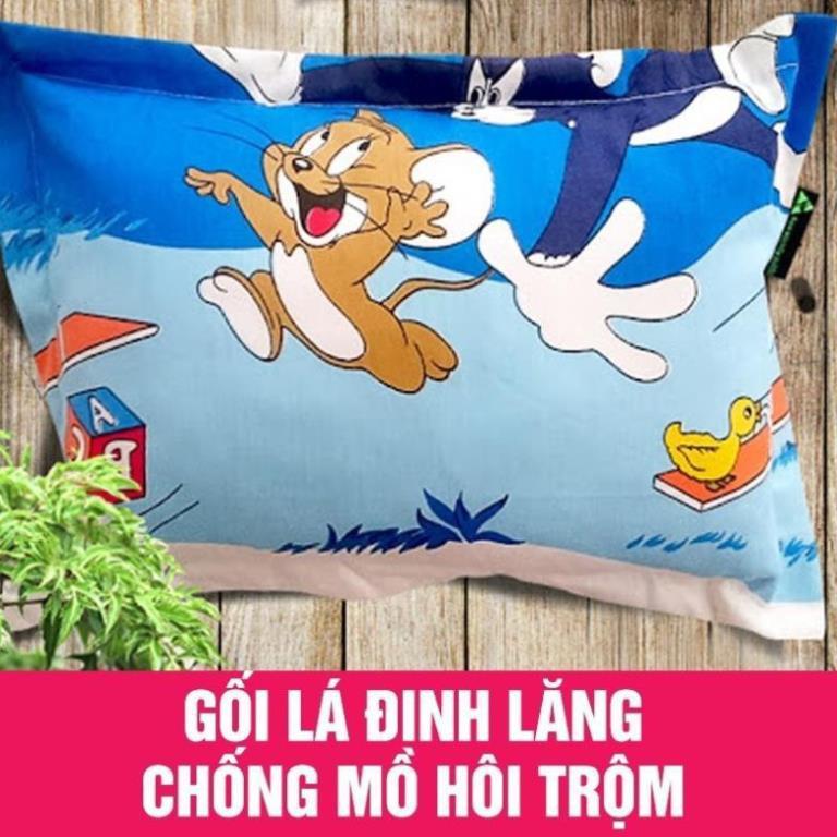 Gối đinh lăng cho bé sơ sinh đến 1 tuổi