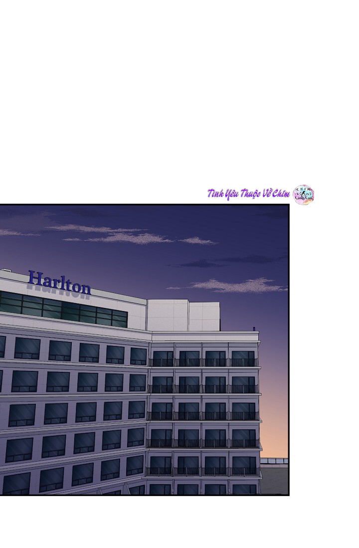 đối tác an toàn chapter 8 8