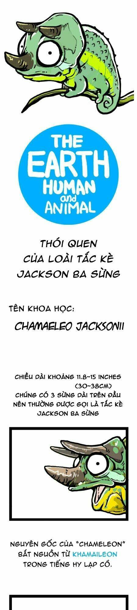 earth, human, and animal chapter 19 7