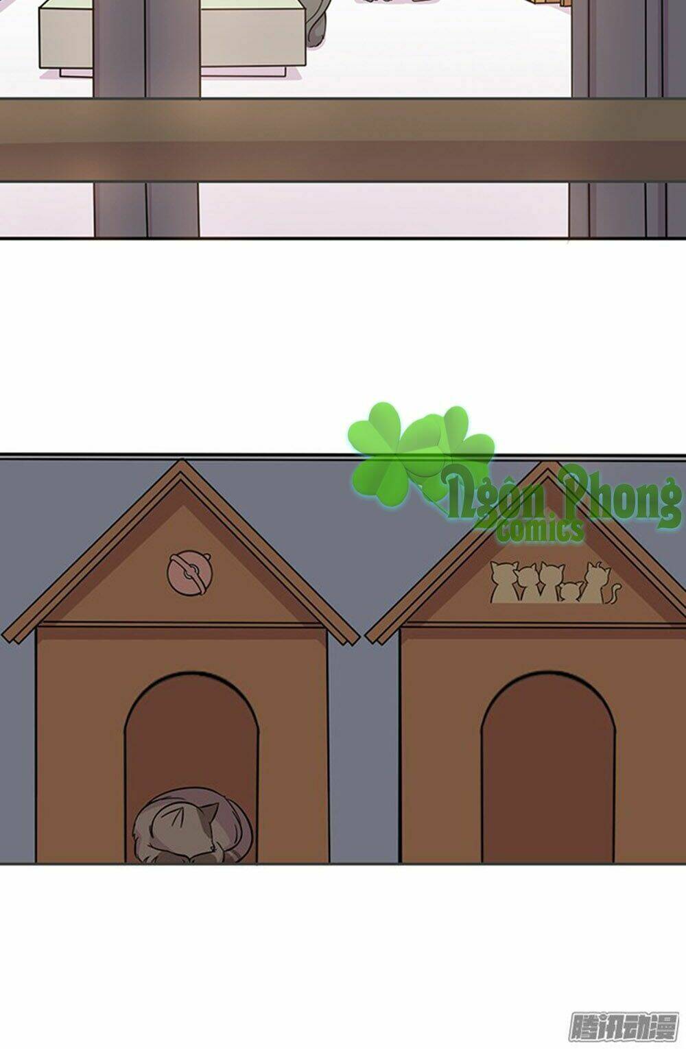 hai chú mèo totem chapter 16 22