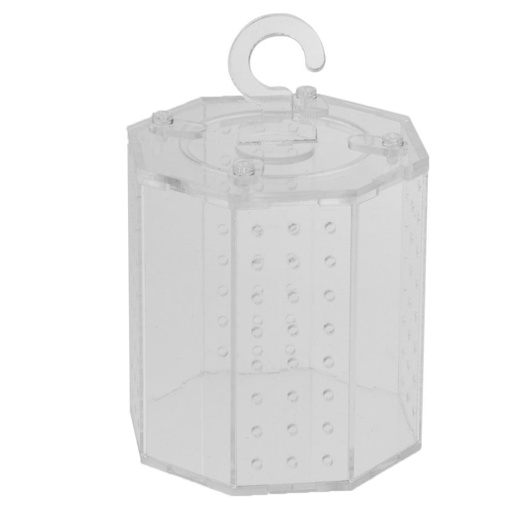 Spider Insect Reptile Tank Vivarium Cage Box Clear Acrylic Terrarium