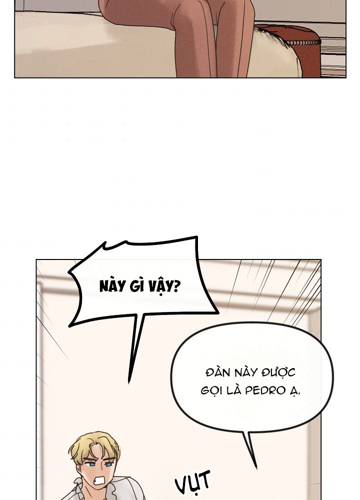 em dám không ? chapter 40.2 19