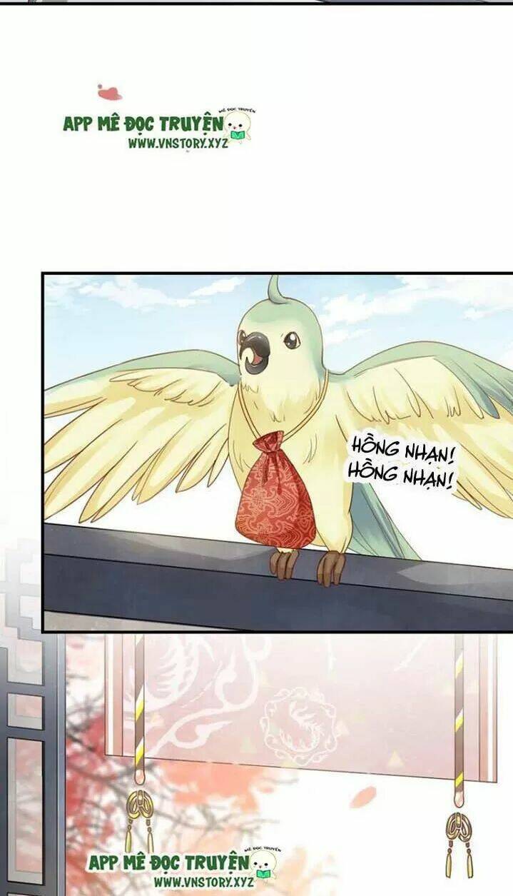 kiều nữ độc phi chapter 256 30