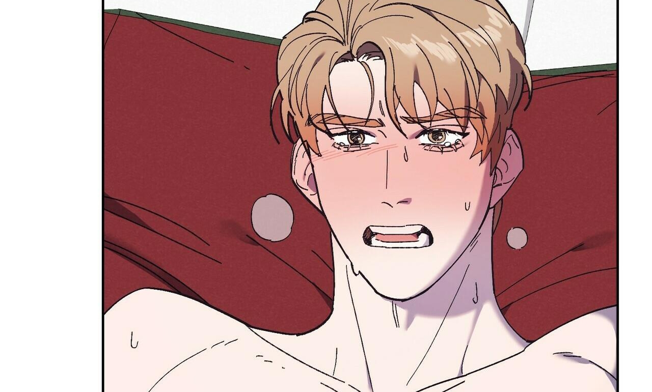 chàng dâu nhà họ kang chapter 30 4