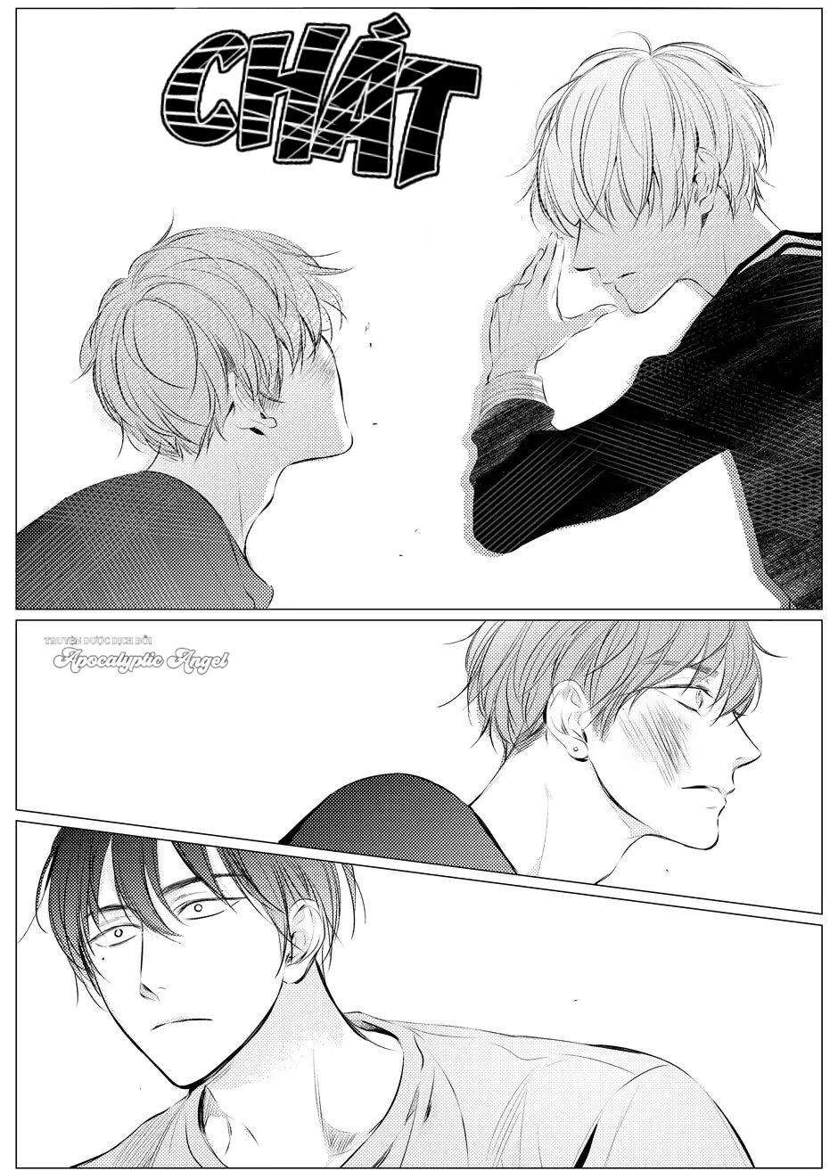 nóng nảy và dịu dàng chapter 15 19