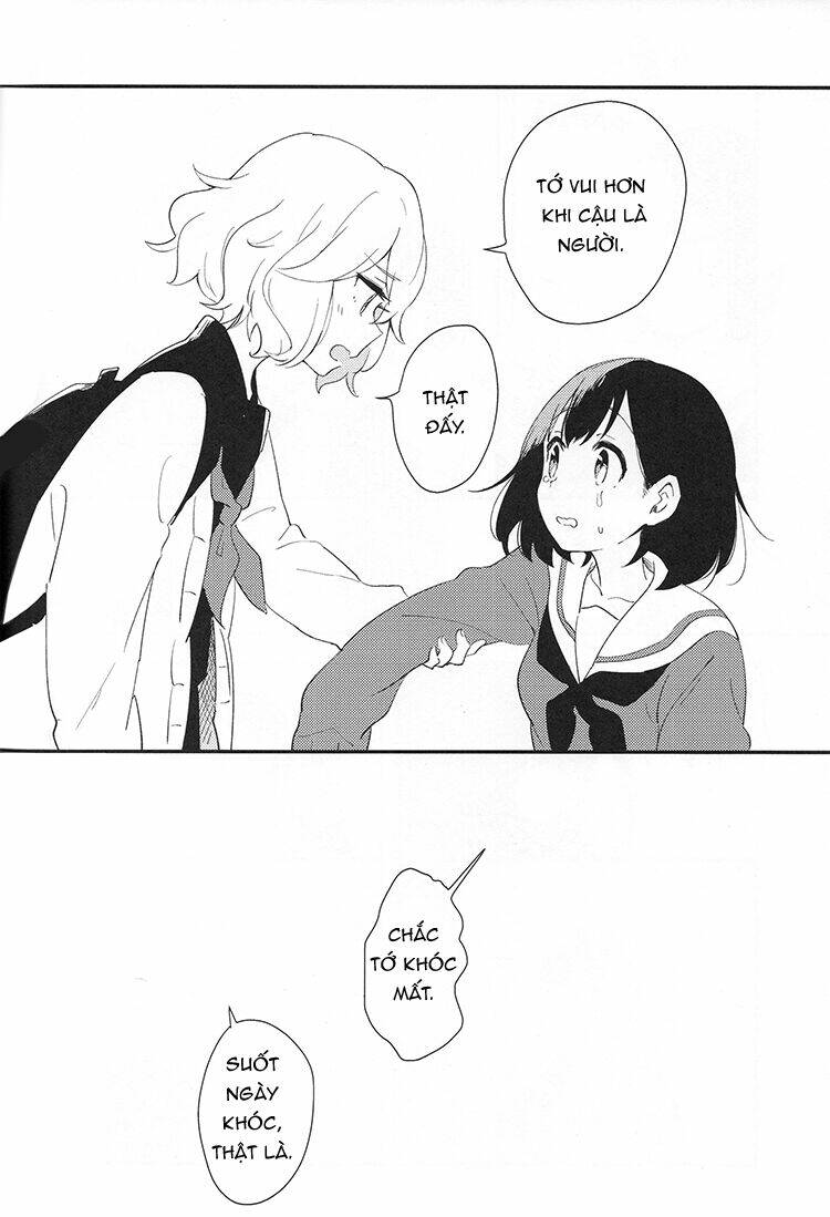 dù là lời nói dối cũng không sao chapter 1 21