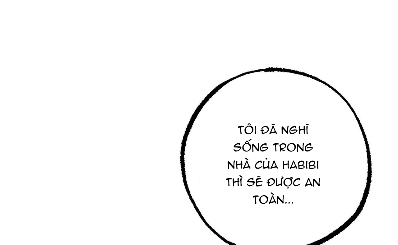 đàn thỏ của habibi chapter 41 118