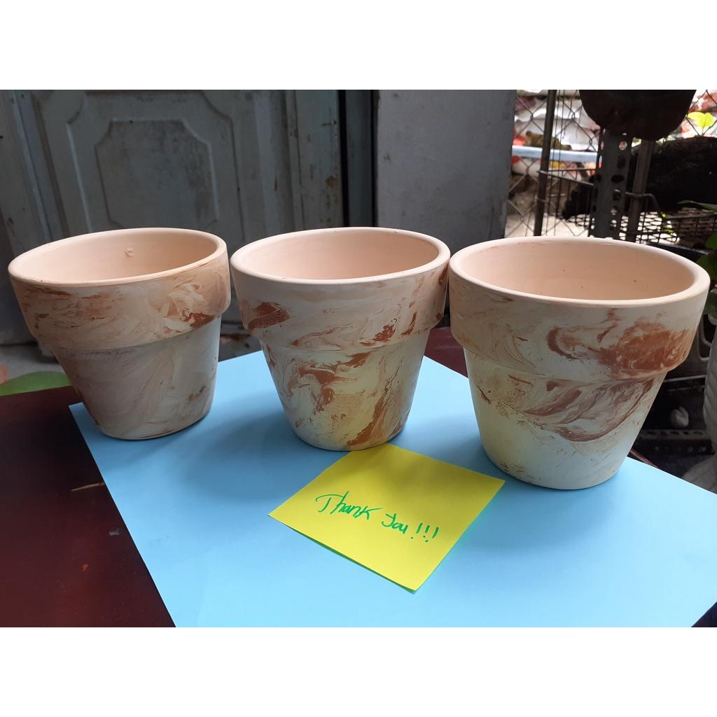 Chậu đất nung dễ thương trồng sen đá
