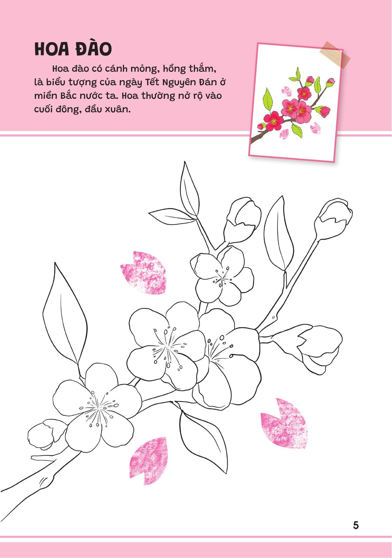 Sách - Yêu Quá Việt Nam - Các Loài Hoa