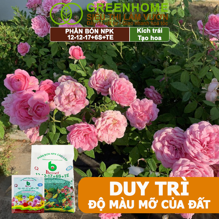 Phân bón NPK 12-12-17-6S+TE Greenhome, Better, Bao 1kg, Tăng Đậu Trái Cây Ăn Củ, Quả