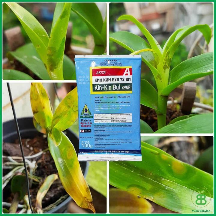 CHẾ PHẨM TRỪ NẤM CÂY TRỒNG KIN KIN BUL 72WP  -  SIÊU SALE