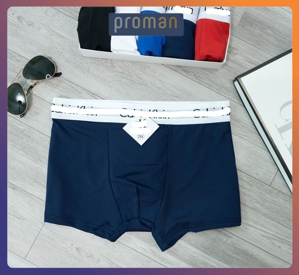 Quần lót nam boxer thun lạnh cao cấp, quần sịp nam co dãn 4 chiều SD01 - PROMAN