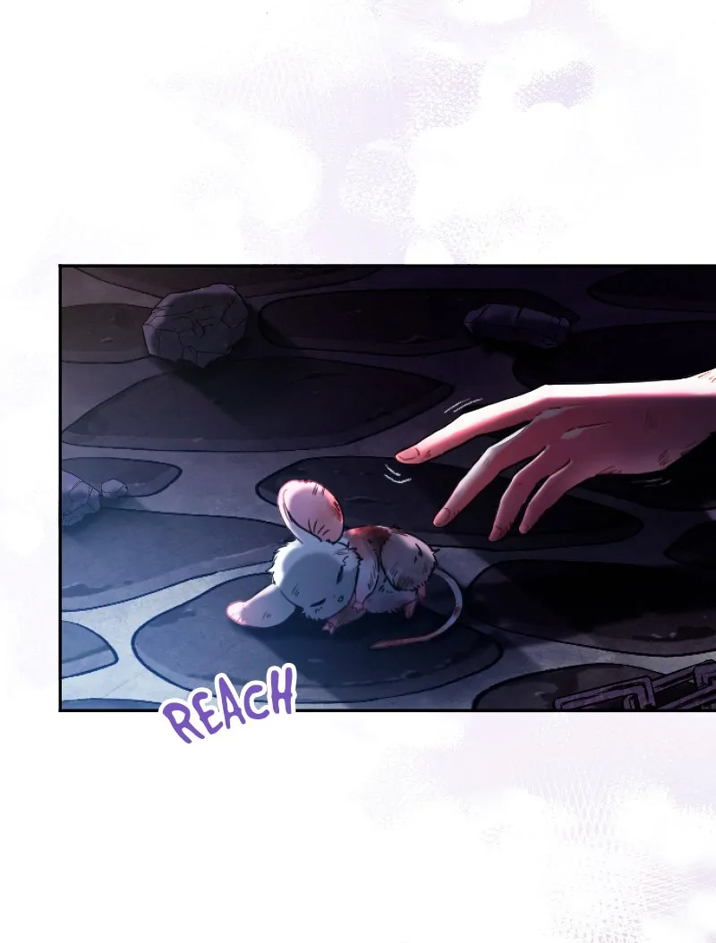 cuộc nổi dậy của người phụ nữ bị nguyền rủa chapter 3.1 24