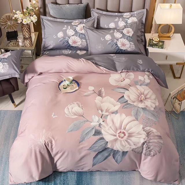 Bộ Cotton Organic 4 món mẫu mới