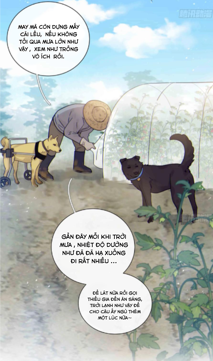 đêm sao chapter 52 19