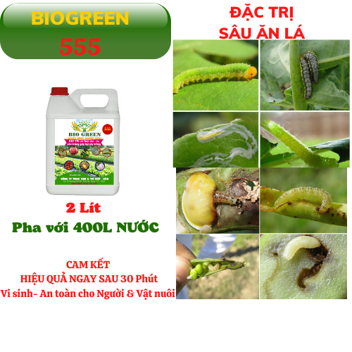 Biogreen 555– Thuốc trừ sâu rầy hiệu quả cao. Chuyên đặc trị sâu bệnh hại cây &amp; cung cấp dinh dưỡng cho cây