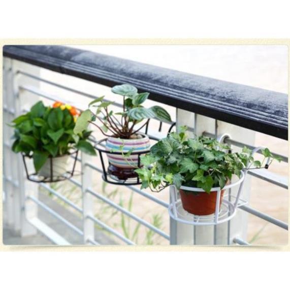 Kệ treo cây cảnh bo chậu không lo vỡ, Kt 22x18x12cm