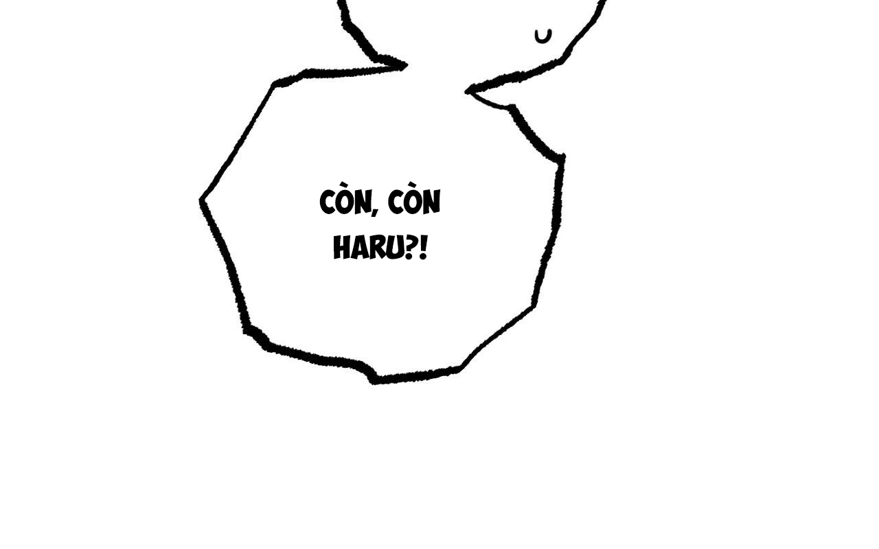 đàn thỏ của habibi chapter 46 15