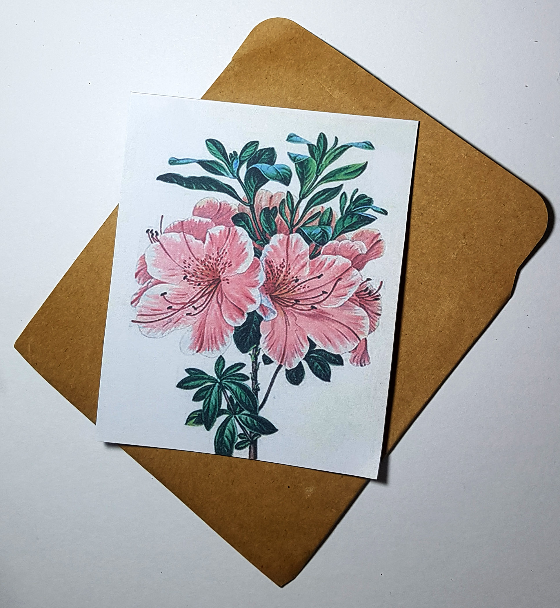 Thiệp phong cách Vintage card quà cám ơn ,chúc mừng sinh nhật và giử tặng người thân yêu.