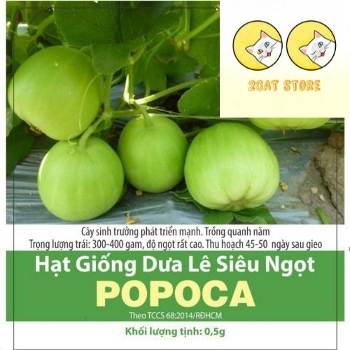 Hạt giống Dưa Lê Popoca siêu trái, siêu ngọt 0.5gr