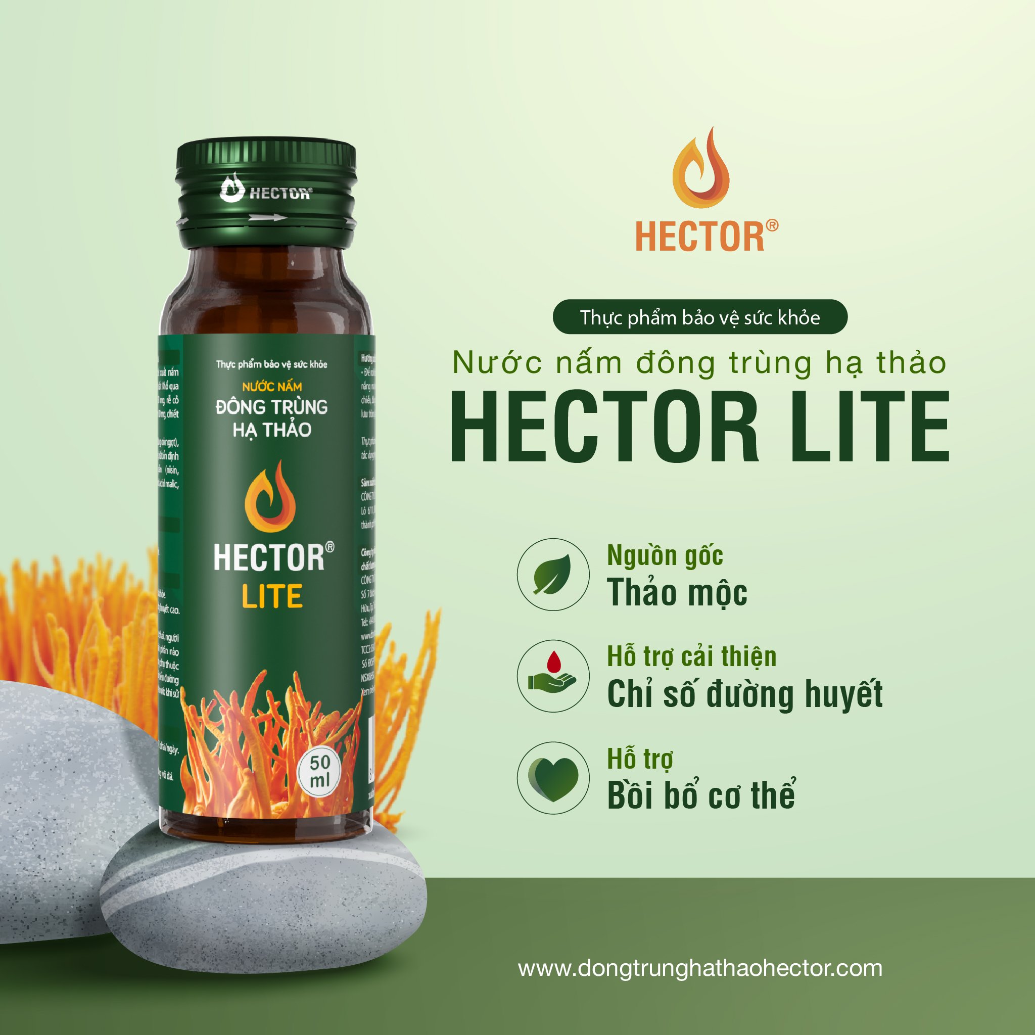 Nước đông trùng hạ thảo Hector Lite